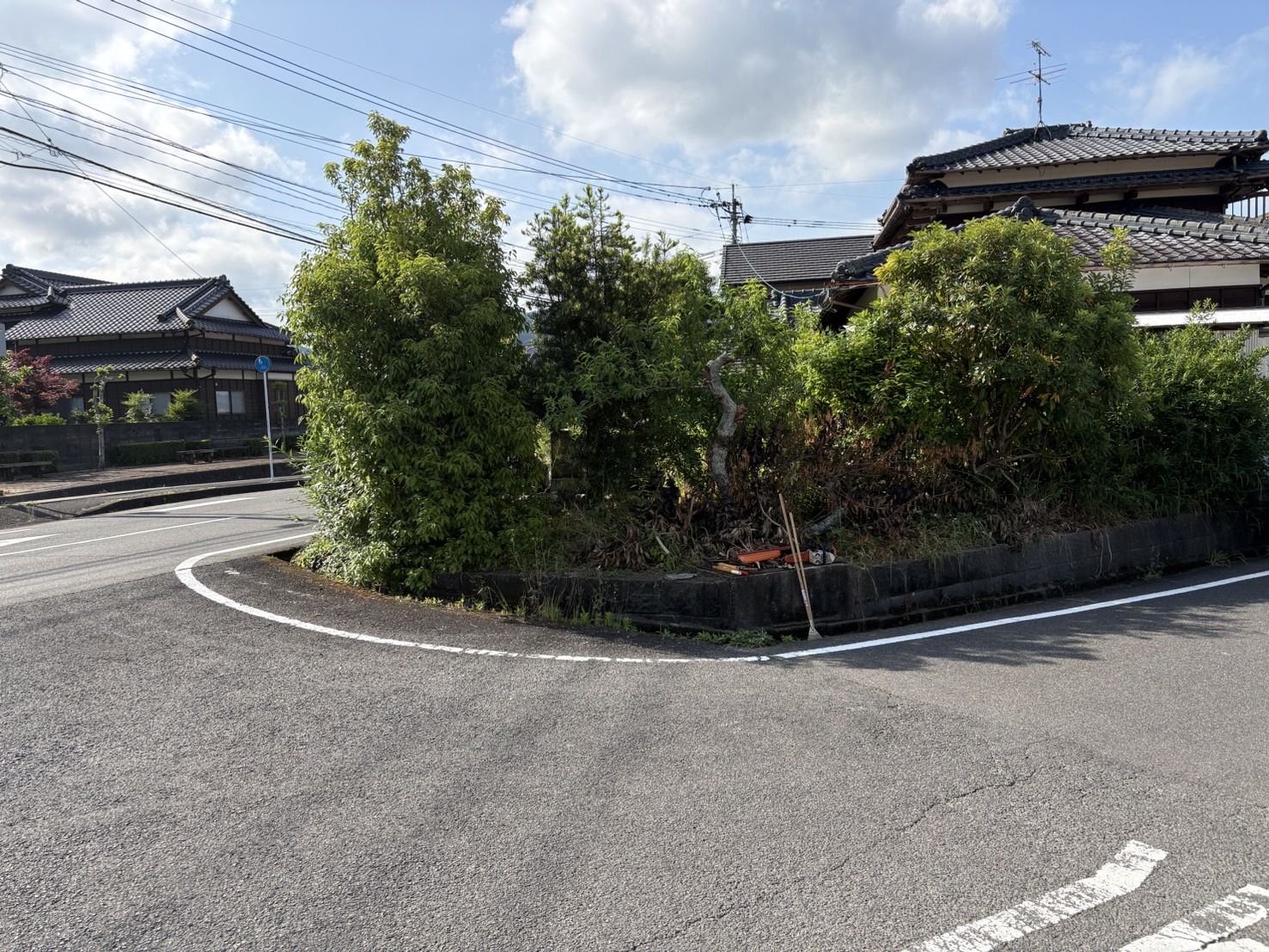 道路沿いの庭木の伐採:施工前