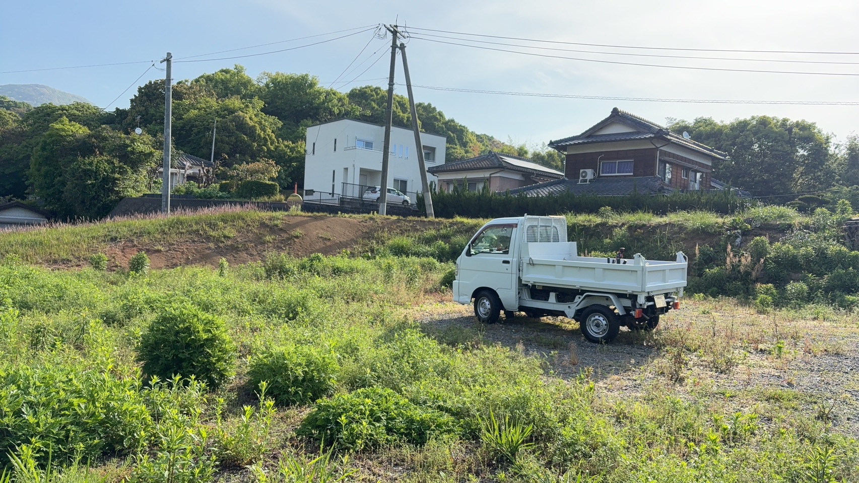 広い敷地の草刈り:施工前