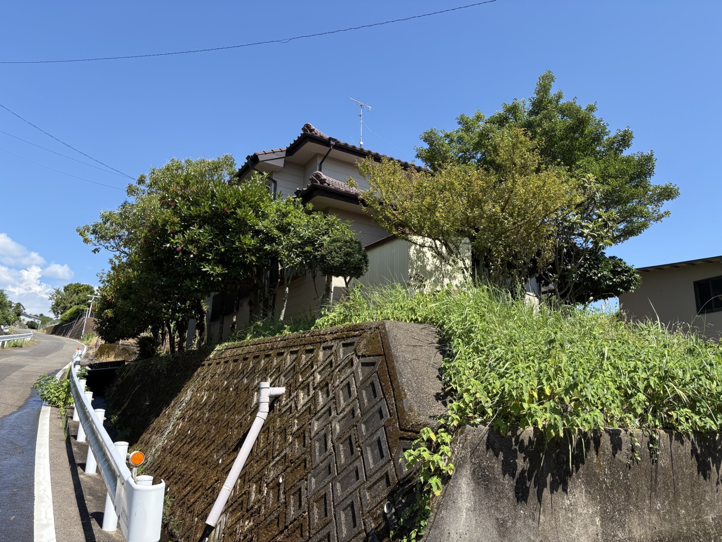 住宅まわりの伐採:施工前